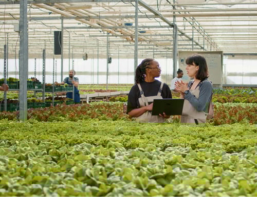 agriculture_r_&_d_sector_qlc_